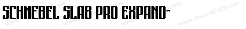 Schnebel Slab Pro Expand字体转换